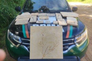 fosseis-pre-historicos-sao-recolhidos-em-pedreiras-no-cariri