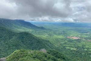 ceara-pode-se-tornar-pioneiro-na-producao-de-pistache-no-brasil