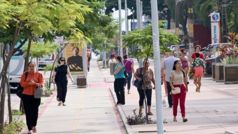 fortaleza-e-a-capital-mais-arborizada-do-nordeste,-aponta-ibge