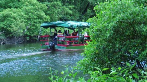 passeio-de-barco-pelo-rio-coco-alia-lazer-e-educacao-ambiental-em-fortaleza