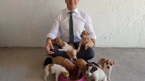 celio-studart-propoe-que-caes-e-gatos-sejam-incluidos-como-dependentes-no-imposto-de-renda