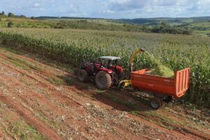 governo-deve-se-reunir-este-mes-com-empresarios-do-agro-para-discutir-plano-safra-2025/2026