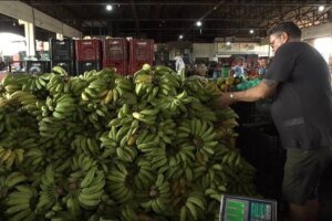 cesta-basica-fica-mais-barata-em-fortaleza:-leite,-banana-e-feijao-tem-queda-nos-precos