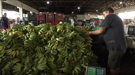 cesta-basica-fica-mais-barata-em-fortaleza:-leite,-banana-e-feijao-tem-queda-nos-precos