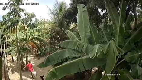 mulher-flagrada-levando-botijao-de-buffet-em-horizonte-e-suspeita-de-outros-furtos-na-regiao