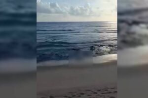 corpo-de-homem-e-encontrado-na-praia-do-atlantico,-no-bairro-pirambu,-em-fortaleza