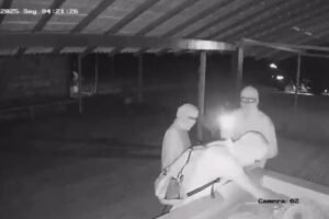 criminosos-invadem-escola-de-kitesurf-no-prea-e-furtam-mais-de-r$-200-mil-em-equipamentos