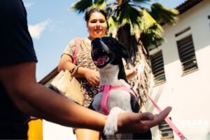 fortaleza-realiza-mutirao-gratuito-de-castracao-de-animais-nos-dias-28-e-29-de-junho