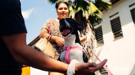 fortaleza-realiza-mutirao-gratuito-de-castracao-de-animais-nos-dias-28-e-29-de-junho