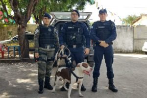 pitbull-entra-em-onibus-e-e-resgatado-pela-guarda-municipal-no-terminal-da-messejana