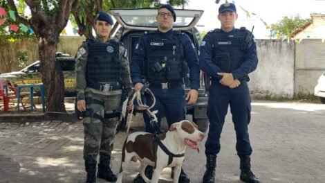 pitbull-entra-em-onibus-e-e-resgatado-pela-guarda-municipal-no-terminal-da-messejana