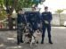 pitbull-entra-em-onibus-e-e-resgatado-pela-guarda-municipal-no-terminal-da-messejana