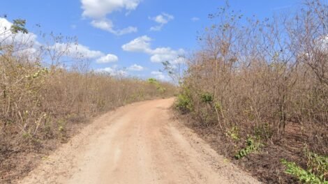 homem-e-condenado-a-12-anos-de-prisao-por-matar-idosa-em-emboscada,-em-marco/ce