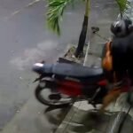 motociclista-colide-e-quebra-vitrine-de-loja-de-celulares-em-itapipoca/ce;-veja-o-video