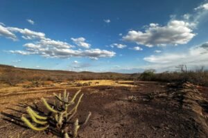 monitor-de-secas:-ceara-chega-a-75%-do-territorio-com-seca-relativa-em-maio