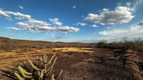 monitor-de-secas:-ceara-chega-a-75%-do-territorio-com-seca-relativa-em-maio
