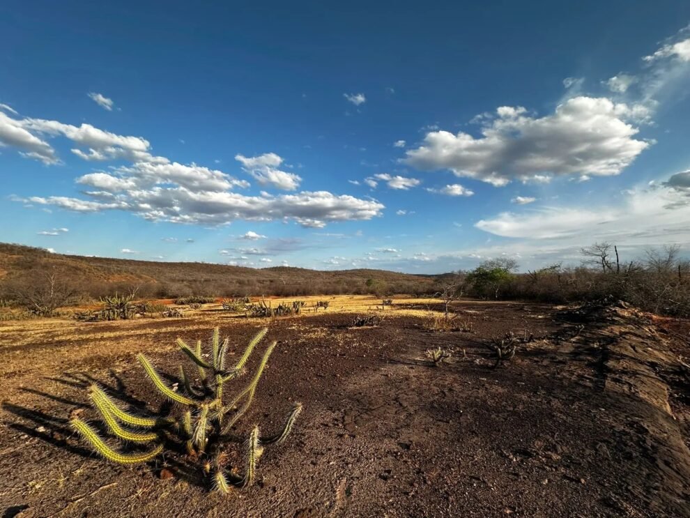 monitor-de-secas:-ceara-chega-a-75%-do-territorio-com-seca-relativa-em-maio