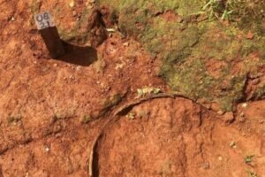 museu-nacional-realiza-nova-escavacao-arqueologica-no-macico-de-baturite,-no-ceara