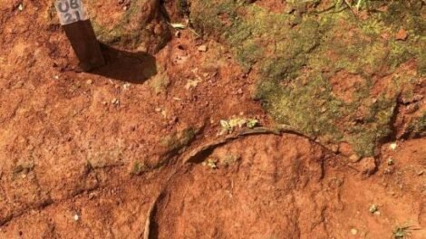 museu-nacional-realiza-nova-escavacao-arqueologica-no-macico-de-baturite,-no-ceara