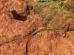 museu-nacional-realiza-nova-escavacao-arqueologica-no-macico-de-baturite,-no-ceara