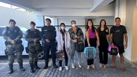 gatos-sao-resgatados-de-situacao-de-maus-tratos-em-apartamento-de-fortaleza;-um-ja-estava-morto