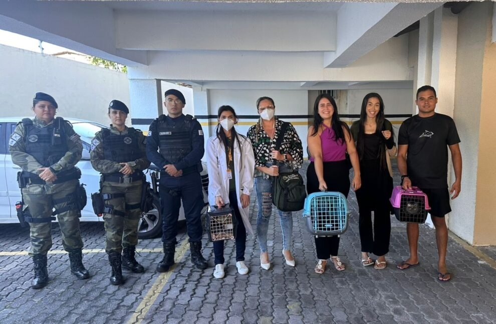 gatos-sao-resgatados-de-situacao-de-maus-tratos-em-apartamento-de-fortaleza;-um-ja-estava-morto
