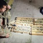 homem-e-preso-transportando-144-aves-silvestres-em-onibus-no-ceara;-40-ja-estavam-mortas