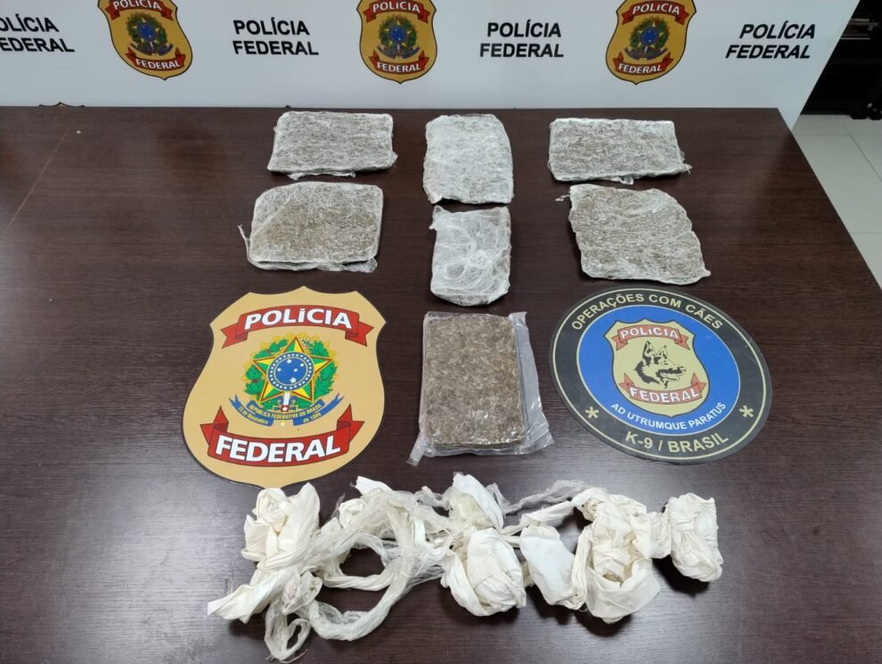 jovem-de-manaus-e-preso-pela-pf-com-2-kg-de-maconha-no-aeroporto-de-fortaleza