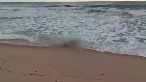 corpo-e-encontrado-por-banhistas-com-mao-amarrada-na-praia-da-taiba,-no-ceara