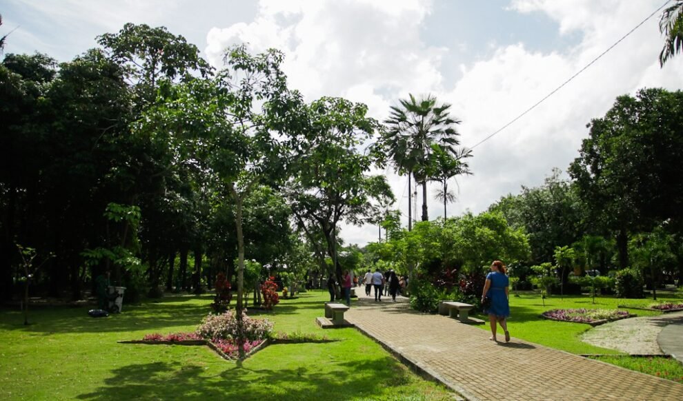 zoologico-de-fortaleza-deve-concluir-reforma-em-julho-apos-mais-de-dois-anos-de-obras