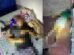 casal-e-morto-a-tiros-apos-criminosos-invadirem-residencia-em-fortaleza
