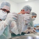 ufc-anuncia-empresa-que-vai-produzir-pele-de-tilapia-para-uso-medicinal