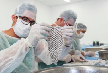 ufc-anuncia-empresa-que-vai-produzir-pele-de-tilapia-para-uso-medicinal