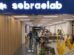 tecnologia-e-inovacao:-sebrae-ceara-promove-evento-com-startups-residentes-do-sebraelab