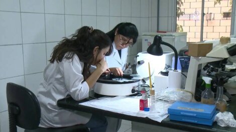 pesquisadores-cearenses-criam-solucao-com-agua-de-coco-que-conserva-orgaos-para-transplantes