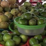 frutas-ajudam-a-fortalecer-a-imunidade-contra-a-gripe-durante-o-periodo-de-ferias-escolares