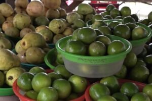 frutas-ajudam-a-fortalecer-a-imunidade-contra-a-gripe-durante-o-periodo-de-ferias-escolares