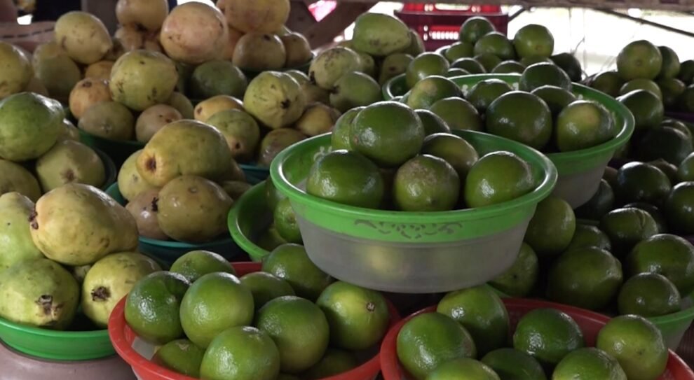 frutas-ajudam-a-fortalecer-a-imunidade-contra-a-gripe-durante-o-periodo-de-ferias-escolares