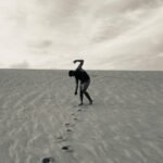vila-das-artes-abre-10-vagas-para-a-oficina-‘poesia-corpoetica’-na-escola-de-artes-visuais