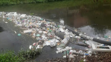 rio-maranguapinho-recebe-ecobarreiras-para-impedir-chegada-de-lixo-ao-mar
