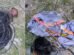 trio-e-preso-em-flagrante-por-furtar-fios-e-fazer-“gato”-de-energia-em-fortaleza