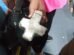 mulher-e-presa-apos-lancar-pedra-em-onibus-que-nao-parou-para-ela-embarcar