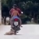 policial-militar-e-preso-apos-arrastar-cachorro-na-rua-amarrado-a-moto-em-ipu,-no-ceara