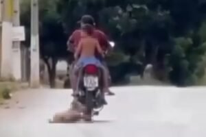 policial-militar-e-preso-apos-arrastar-cachorro-na-rua-amarrado-a-moto-em-ipu,-no-ceara