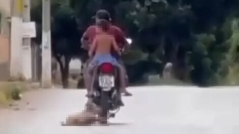 policial-militar-e-preso-apos-arrastar-cachorro-na-rua-amarrado-a-moto-em-ipu,-no-ceara