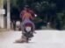 policial-militar-e-preso-apos-arrastar-cachorro-na-rua-amarrado-a-moto-em-ipu,-no-ceara