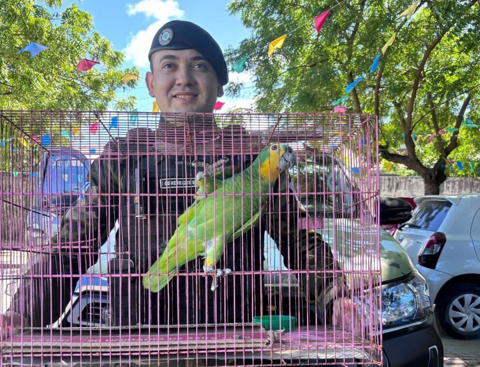 guarda-municipal-realiza-resgate-de-tres-animais-silvestres-em-fortaleza