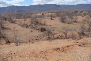 seca-se-intensifica-e-focos-de-calor-acendem-alerta-no-ceara-no-segundo-semestre-de-2025