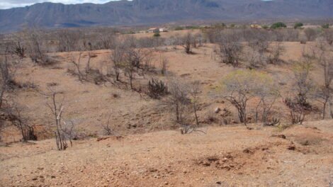 seca-se-intensifica-e-focos-de-calor-acendem-alerta-no-ceara-no-segundo-semestre-de-2025
