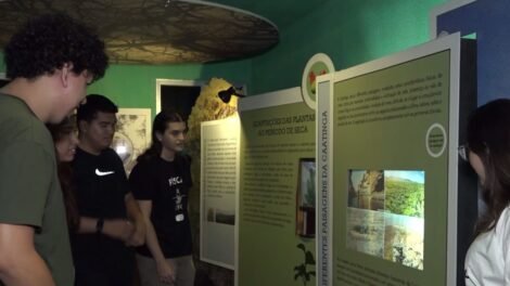 exposicao-em-fortaleza-mostra-a-“verdadeira-caatinga”,-para-alem-dos-estereotipos